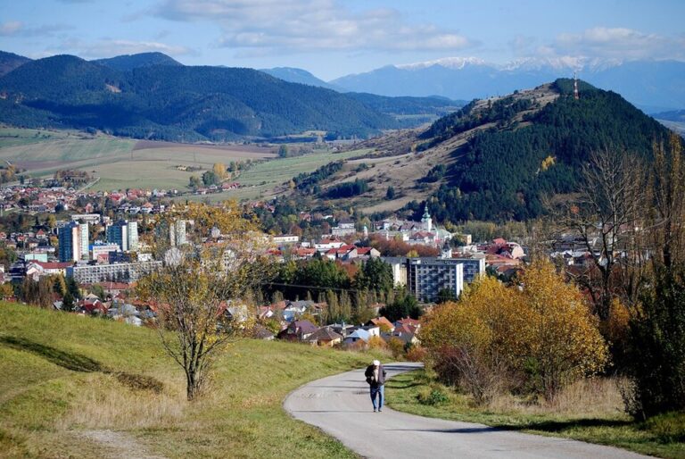 v Leviciach: centrum