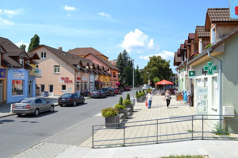 v Turčianskych Tepliciach: centrum